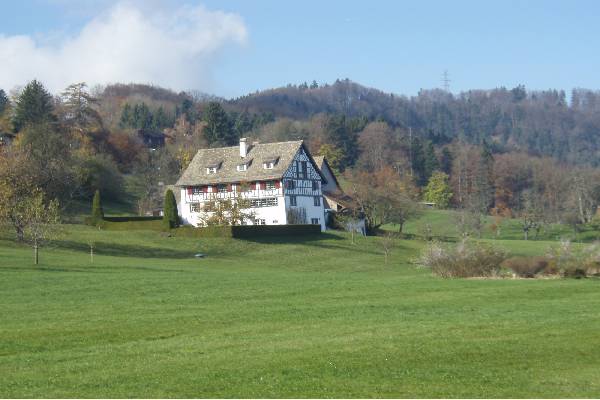 Umbau Albisstrasse 50-Langnau am Albis