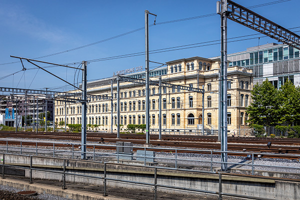 Translokation Affolternstrasse-Zürich