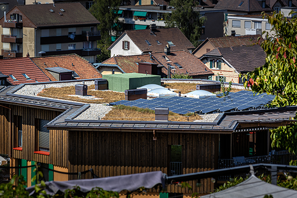 Ersatzneubau Siedlung Untere Vogelsangstrasse-8400 Winterthur